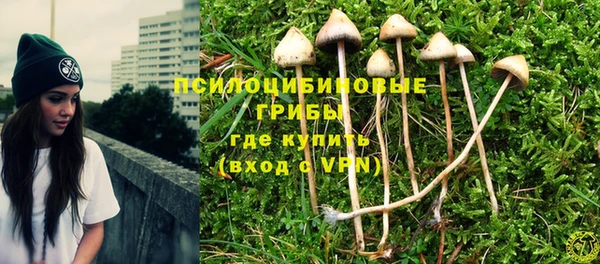 дурь Белоозёрский