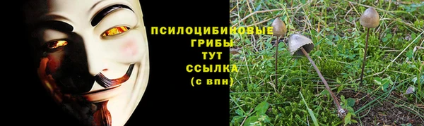 метадон Беломорск
