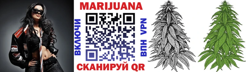 как найти наркотики  Пионерский  МАРИХУАНА индика 